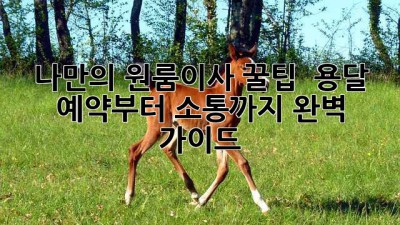 나만의 원룸이사 꿀팁🍯 : 용달 예약부터 소통까지 완벽 가이드!
